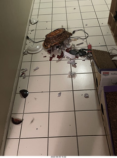 oh shit, the Miss Pris cat right knocked over my bowl of stuff