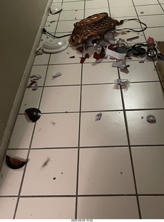 oh shit, the Miss Pris cat right knocked over my bowl of stuff