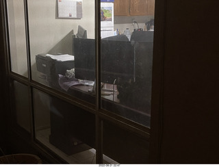 my cats Devin and Miss Pris atop my tapes