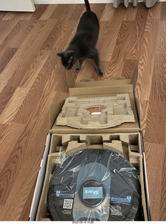 my cats Devin and Miss Pris atop my tapes