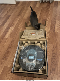 my cats Devin and Miss Pris atop my tapes