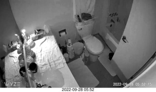 my cat Miss Pris in a dark bathroom