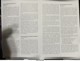 wolf spider in the grass (tarantula)