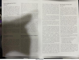 wolf spider in the grass (tarantula)