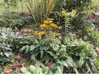Academy of Music - Philadelphia Ballet - Cinderella - table + glass slipper