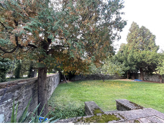 Philadelphia - Elkins Park - my sister's yard