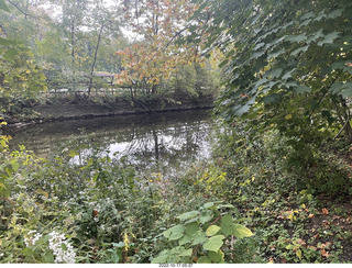 Philadelphia - Elkins Park - garden and leaves