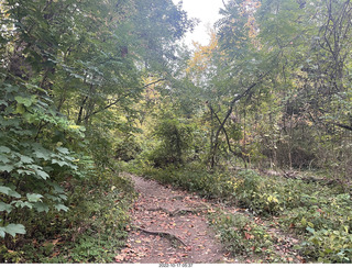 Philadelphia - Elkins Park - garden