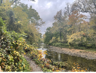 Philadelphia - Elkins Park - flowers