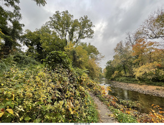Philadelphia - Elkins Park - my sister's flower tree