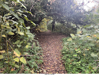 Philadelphia - Melrose Park - Tookany Creek Parkway