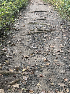 Philadelphia - Melrose Park - Tookany Creek Parkway