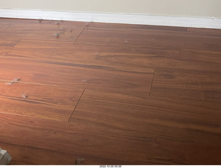 my cat Miss Pris in my dark bathroom