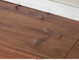 aftermath of Jane and Miss Pris  fighting