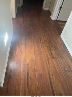 aftermath of Jane and Miss Pris  fighting