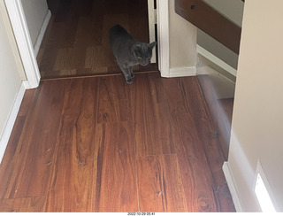 aftermath of Jane and Miss Pris  fighting