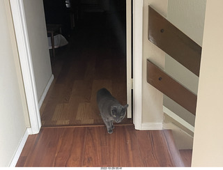 aftermath of Jane and Miss Pris  fighting