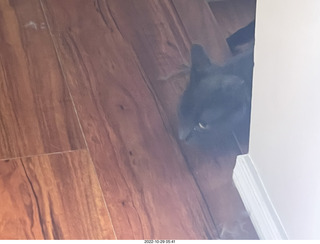 aftermath of Jane and Miss Pris  fighting