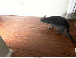 aftermath of Jane and Miss Pris  fighting