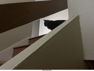 aftermath of Jane and Miss Pris  fighting