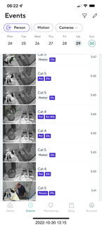 aftermath of Jane and Miss Pris  fighting