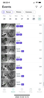 aftermath of Jane and Miss Pris  fighting