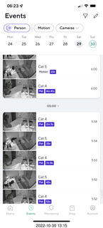 cat videos when Jane and Miss Pris fought