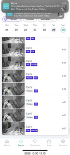 cat videos when Jane and Miss Pris fought