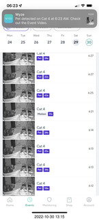 aftermath of Jane and Miss Pris  fighting