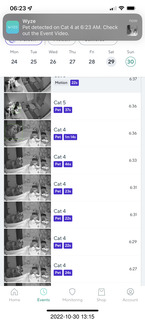 aftermath of Jane and Miss Pris  fighting