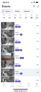 cat videos when Jane and Miss Pris fought