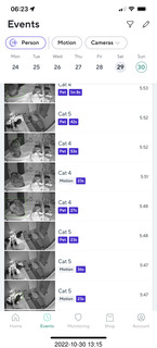 aftermath of Jane and Miss Pris  fighting