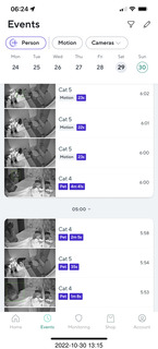 aftermath of Jane and Miss Pris  fighting