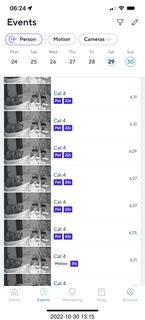 cat videos when Jane and Miss Pris fought