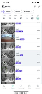 cat videos when Jane and Miss Pris fought