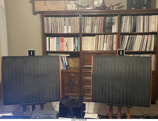 cat videos when Jane and Miss Pris fought