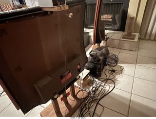 cat videos when Jane and Miss Pris fought