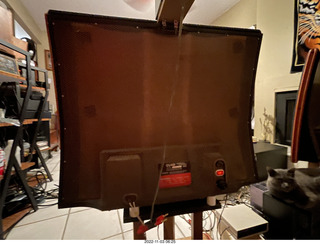 my cat Jane on my Eagle 2 amplifier behind my Quad ESL