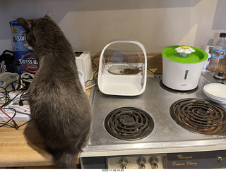 my cat Devin on the printer with roofer Misha's shadow