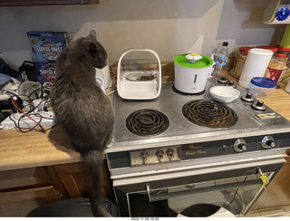 my cat Devin and the feeder, all gone on just one side