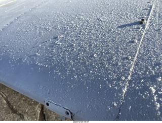 10 a1n. frost on the wings