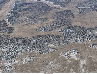 176 a1n. aerial - trees in the snow