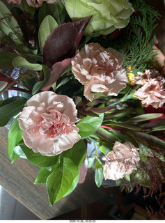 Happy  Birthday to me! Lovely small cactus plant