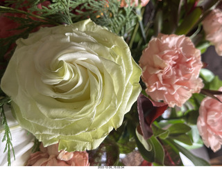 Happy  Birthday to me! olga and anthony gave me wonderful Belgian chocolates