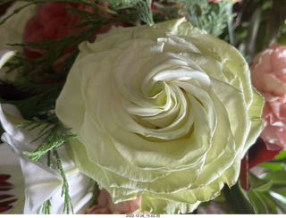 my birthday floral arrangement from Olga and Anthony