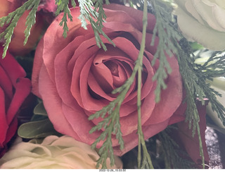 my birthday floral arrangement from Olga and Anthony