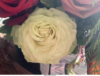 Happy  Birthday to me! olga and anthony gave me wonderful Belgian chocolates