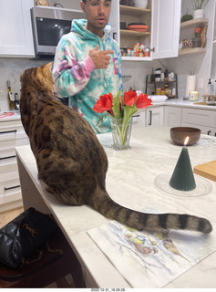 Anthony and cat  Pickle