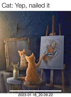 Facebook - don middleton's drawing of kate loxtercamp