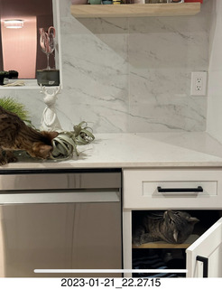 Facebook - Potato and his bed